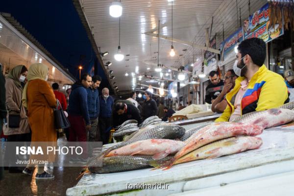 اقشار با درآمدهای مختلف، امكان خرید ماهی دارند