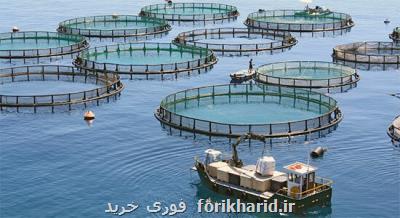 جزئیات اجرای طرح پرورش ماهی در قفس در خوزستان