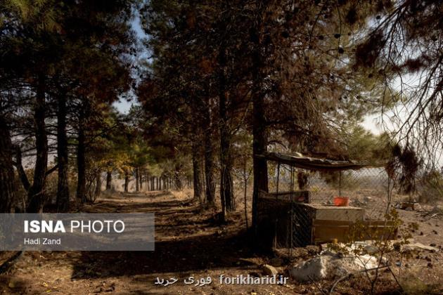 کاشت ۱۱۰۰ نهال در بوستان جنگلی سرخه حصار به مناسبت روز درختکاری