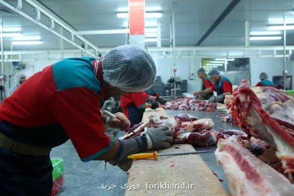 عرضه گوشت مرغ از مهر بهبود می یابد