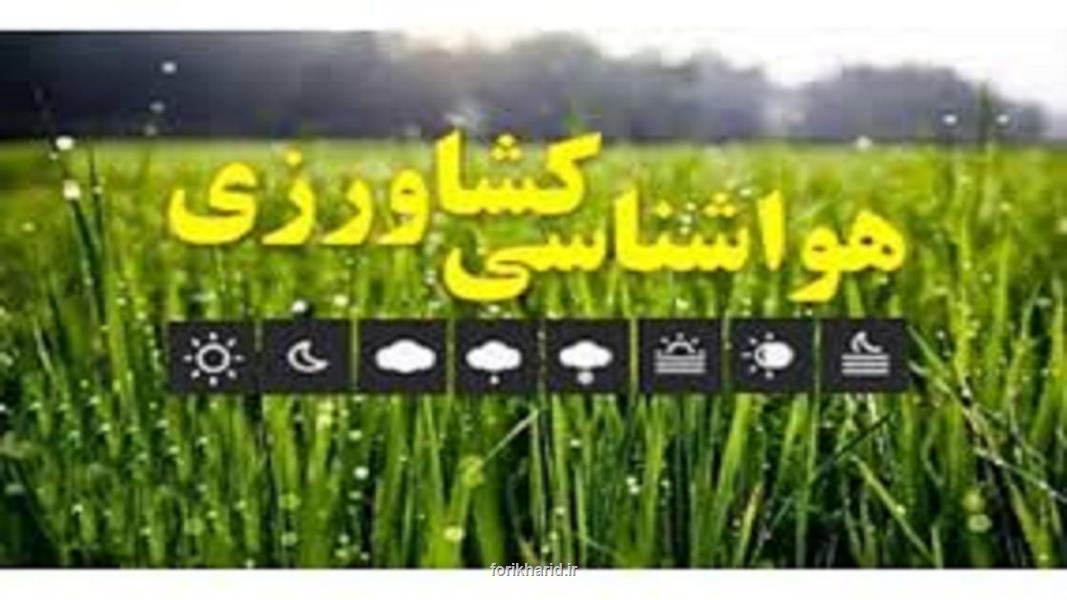 مرغداران و دامداران مدیریت دما در واحد ها را جدی بگیرند مرغداران و دامداران مدیریت دما در واحد ها را جدی بگیرند