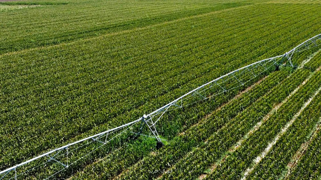 کاهش ۲۶ میلیارد مترمکعبی آب کشاورزی