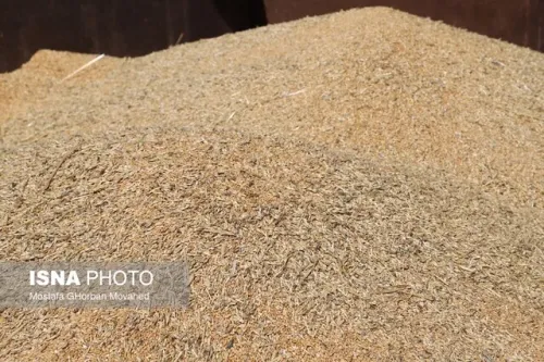 سال جاری چقدر گندم خارجی خریدیم؟