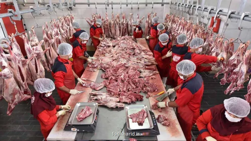 چراغ سبز دولت به بازار گوشت جدید ترین قیمت گوشت گوسفندی