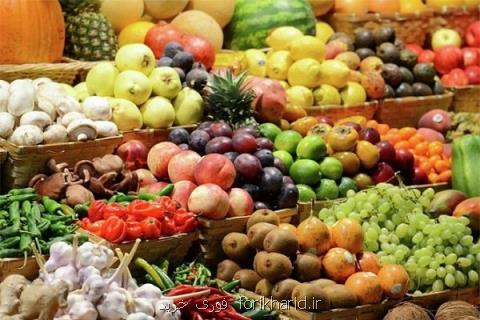 صادرات میوه ۱۷درصد رشد كرد