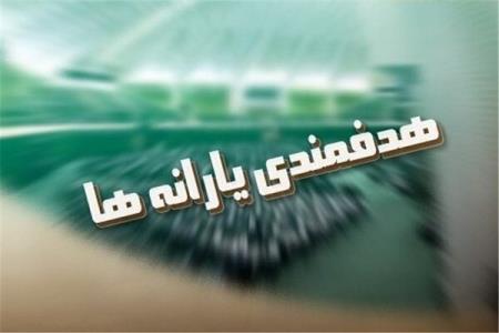 تخلفات گسترده در اجرای قانون هدفمندی