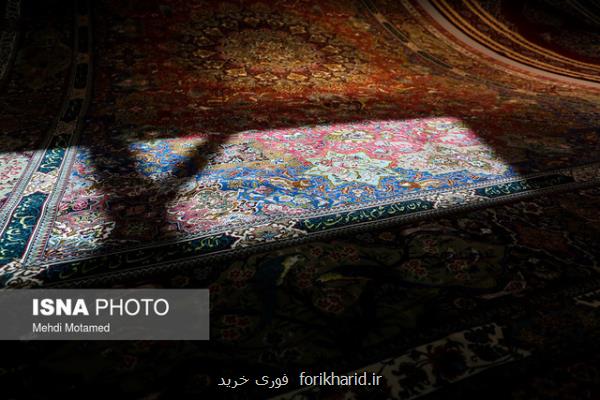 كمبود نوآوری در رونق فرش