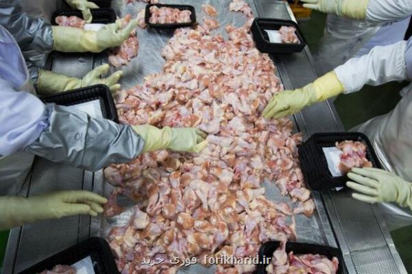 آلودگی گوشت مرغ منجمد برزیلی به كرونا
