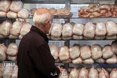 چرایی افزایش قیمت مرغ از زبان یك عضو كمیسیون كشاورزی مجلس